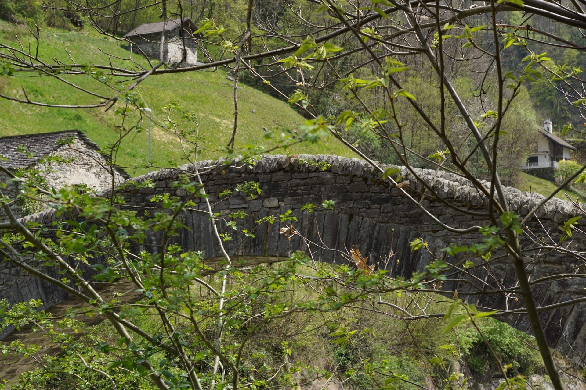 Paesaggio montano svizzero