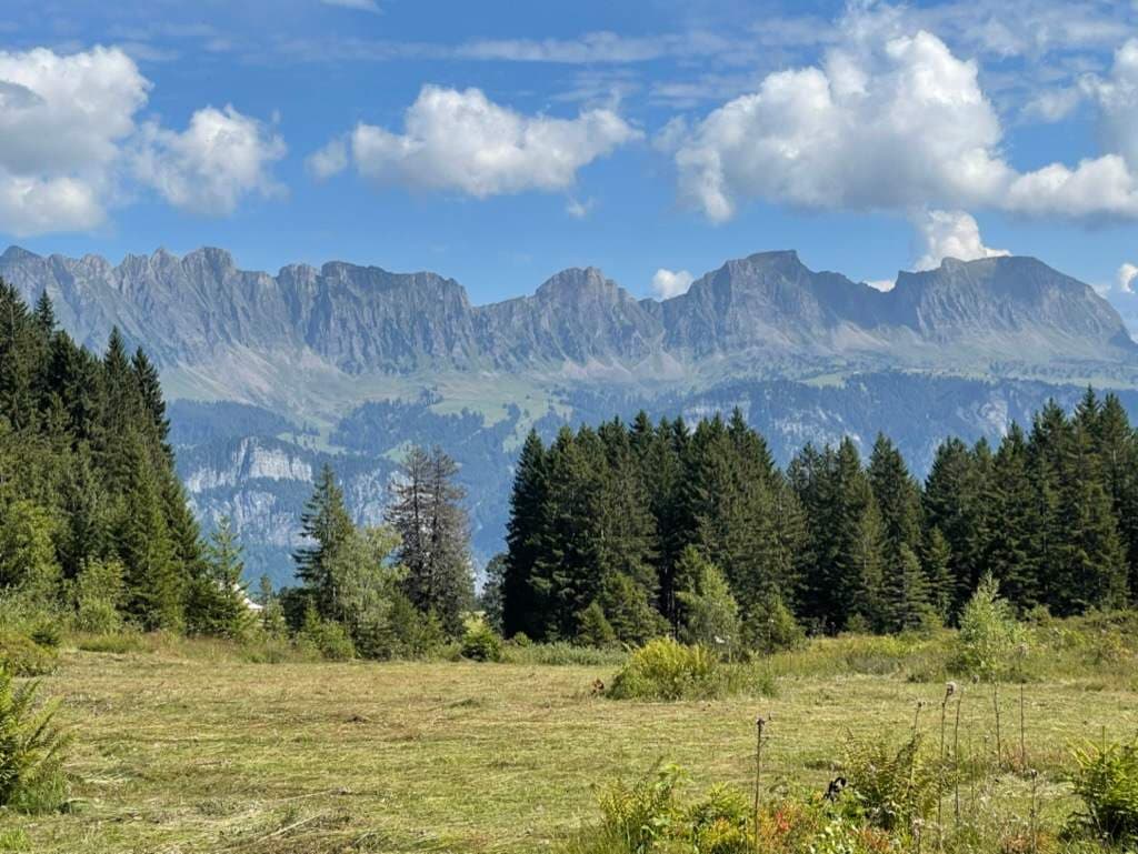 Paysage de montagne suisse